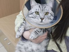 -美迦爱-牙专科·兔科·骨科诊疗中心(北苑店)