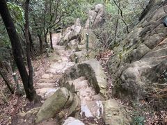 -南山植物园