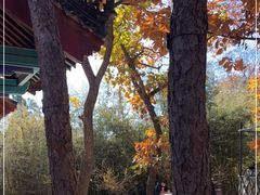 -红螺寺