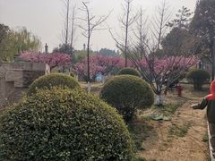 -鹦鹉寺公园