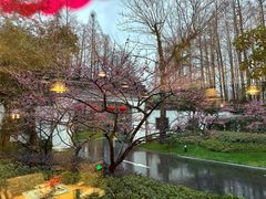 -杭州西湖柳莺里酒店·闻莺厅