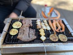 -尚庄度假村·庭台树下·户外烧烤·团建CS·轰趴营地(上庄水库店)