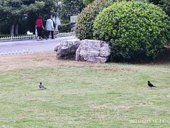 -云龙湖旅游景区