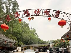 -区海鸡场饭店(石壁店)