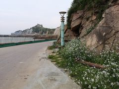 -大王村沙滩