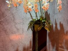 -纯K(打浦桥店)