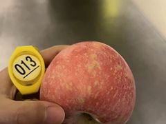 -南京金陵饭店