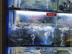 水产区-石锅苗苗鱼(武汉首店)