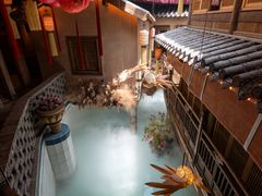 -叶叶菩提(太原别墅店)