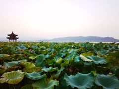 -杭州城中香格里拉大酒店