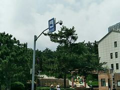 -林海公园
