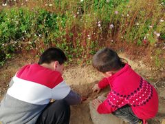 -西安汉城湖景区