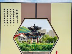 -曹州牡丹园