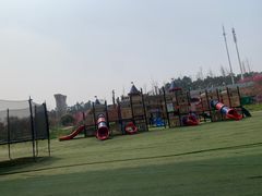 -秀丽东方