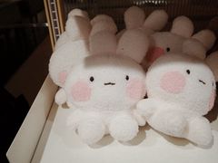 -line friends(明洞旗舰店)