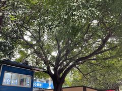 -万家面(重庆建川博物馆兵工商业街店)