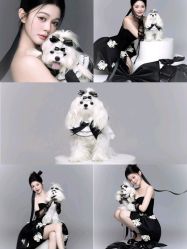 点击看大图 -米莱摄影写真(五大道别墅店)