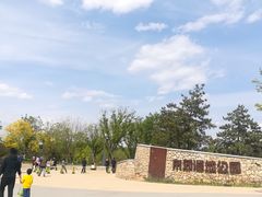 -东郊湿地公园