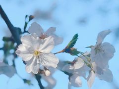 -龙美术馆西岸馆-停车场