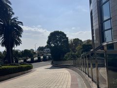 -舟山希尔顿酒店