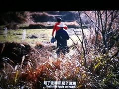 -奥斯卡升龙国际影城(RealD Cinema)