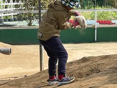 -前小桔亲子创意农场·草莓采摘·露营烧烤