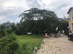 -仙浴湾广场
