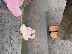 -信不信由你博物馆