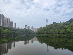-重庆彩云湖湿地公园