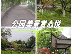 -大渡口区义渡公园
