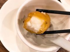 -正德顺順德雙皮奶(中信店)