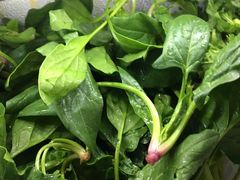 -黔府豆米火锅野菜馆(南马店)