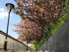 -复旦大学附属华山医院(浦东院区)