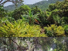 -老虎沟生态农场