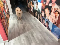 -肆兮眼镜·蔡司·徕卡战略合作店(大坪店)