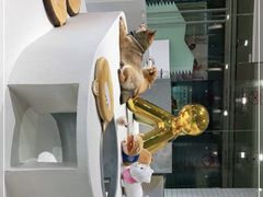 -柴务处·柴犬主题狗咖