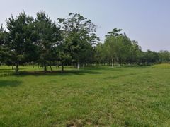 -鉴湖国家城市湿地公园