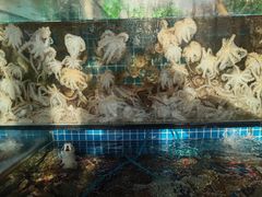 -蟹谢蒸鲜自助餐厅