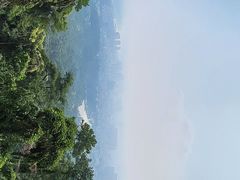 -龙华寺