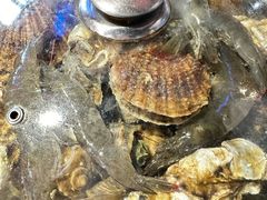 -王大厨·海鲜·家常菜