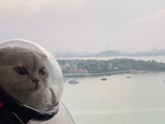 -必胜客(海滨店)