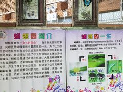 -上海大自然野生昆虫馆(东方明珠·爬宠昆虫探索中心)