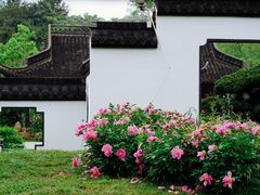 -盆景园(扬州大运河文化旅游度假区)