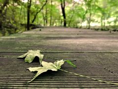 -丹东天桥沟景区