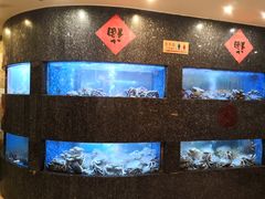 水产区-乾隆美食·本帮菜(黄河路店)