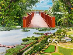 -芒洲湿地公园
