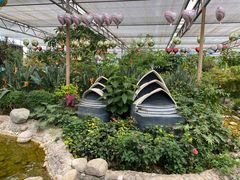 -南宫五洲植物乐园