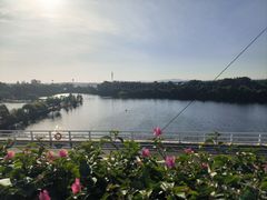 -厦门园林博览苑