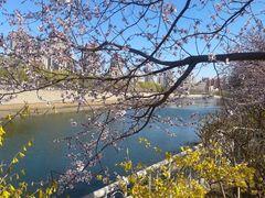 -桃花堤公园