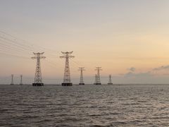 -宝安西湾红树林湿地公园